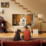 De la petreceri festive la sporturi de iarnă: tehnologia care te ajută să te bucuri de fiecare moment