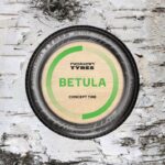 Anvelopa conceptuală Nokian Tyres Betula conține materie primă obținută din resturi de scoarță de mesteacăn